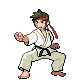 black-belt